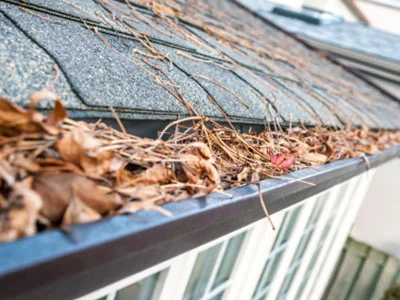 gutter-cleaning