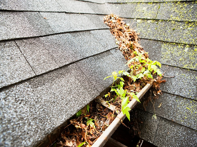 dirty+gutters+400x300