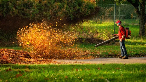 leaf+blower