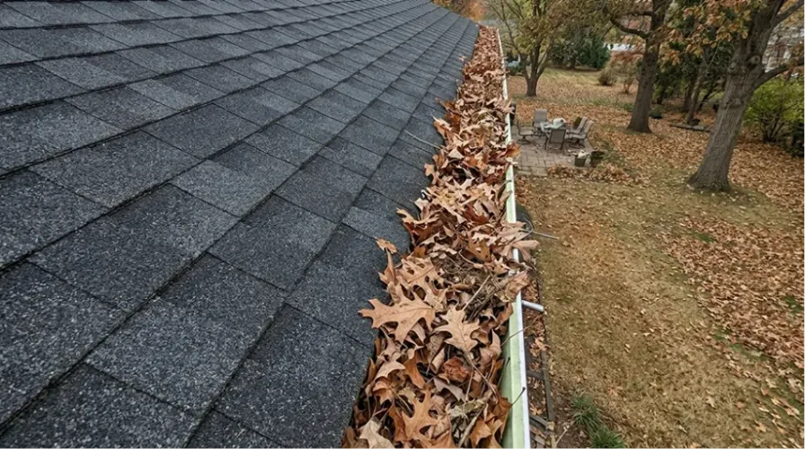 Residential Gutter Cleaning Before