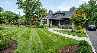 Gemini_Generated_Image_ditx4oditx4oditx 1