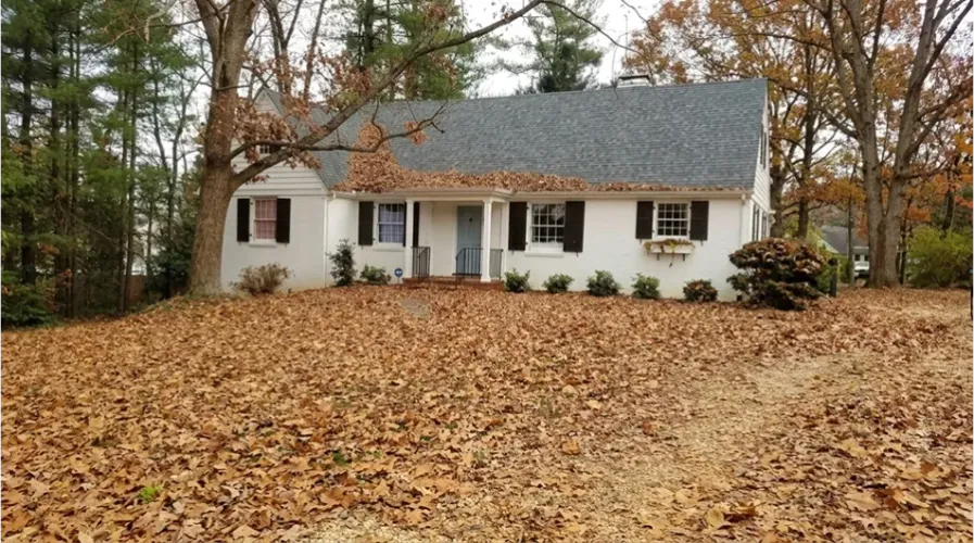 Seasonal Leaf Removal Before