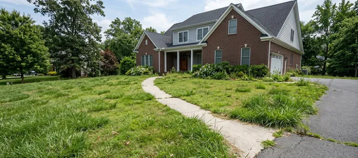 Gemini_Generated_Image_k9ttoxk9ttoxk9tt 1