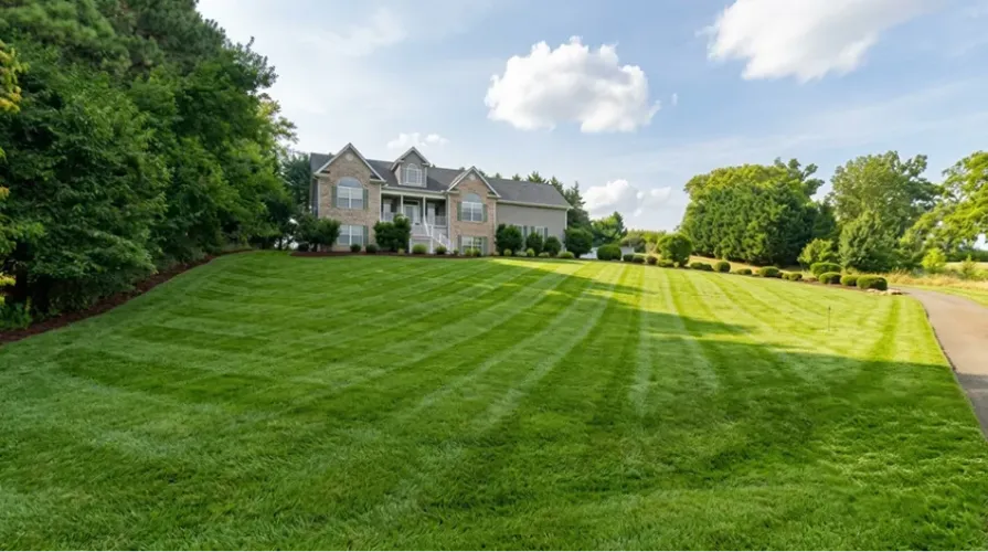 Weekly Lawn Mowing Service After