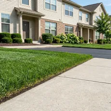 Gemini_Generated_Image_zi0svhzi0svhzi0s 1